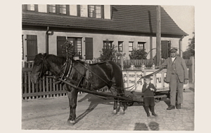 Senftenberg